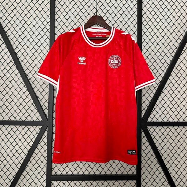 2024 Denmark Home Fans  Jersey