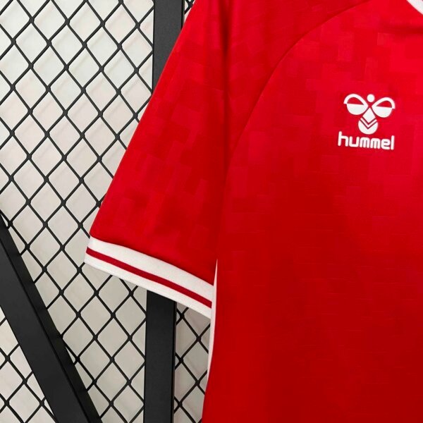 2024 Denmark Home Fans  Jersey - Image 2