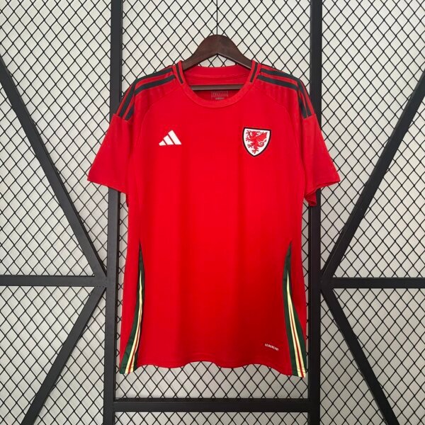 2024 Wales Home Fans Jersey