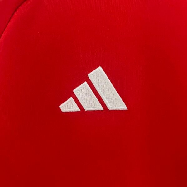 2024 Wales Home Fans Jersey - Image 3